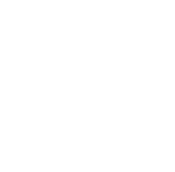 TV BRICS белый_вертикал.png
