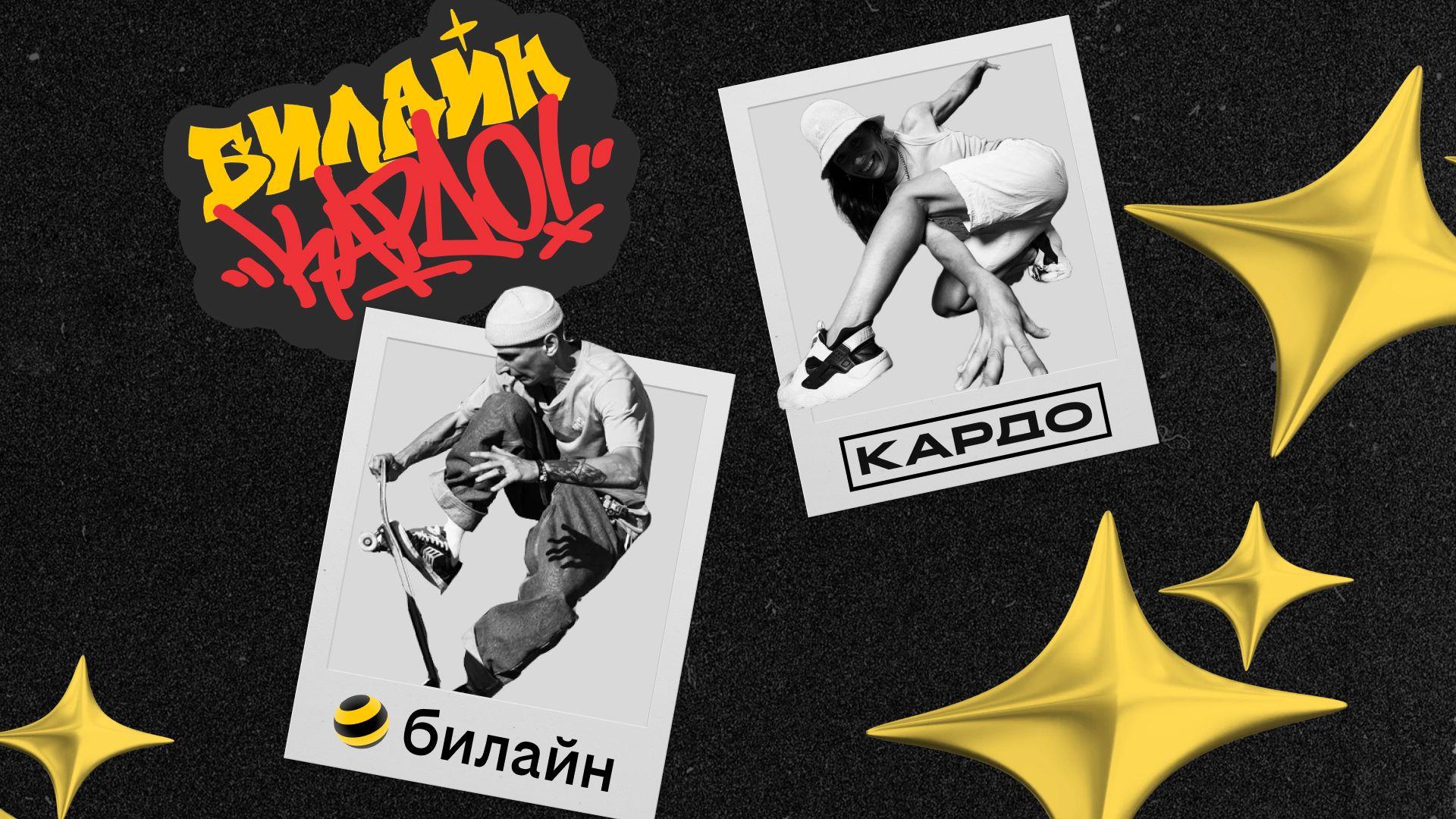 beeline_kardo_8.jpg